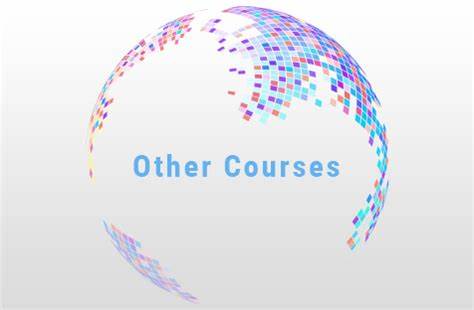 Other Courses